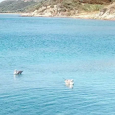 بيت للعطل Artemis Stone House بساكوذيا