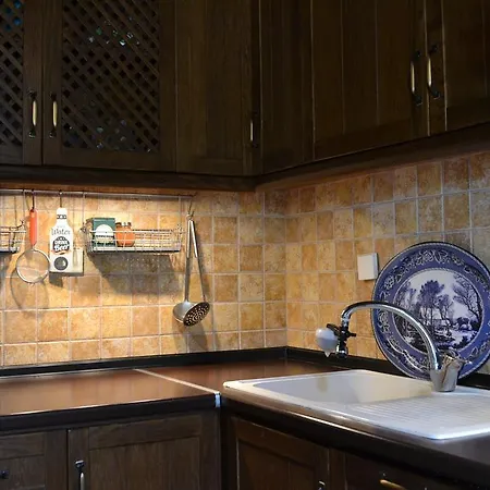 بيت للعطل Artemis Stone House بساكوذيا