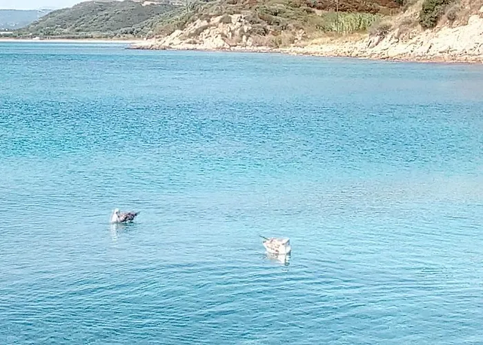 度假居 Artemis Stone House 普萨克迪亚